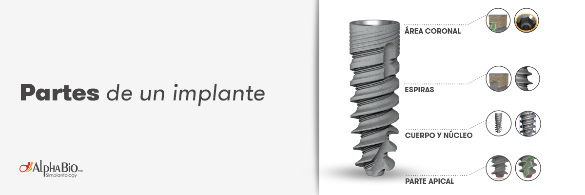 partes de un impante alphabio tec