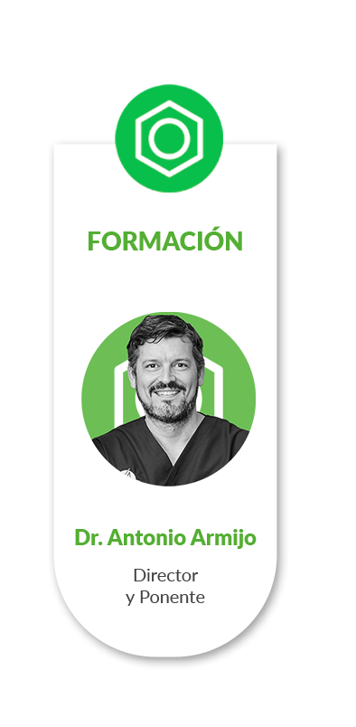 antonio armijo ponente 1 formación cabecera